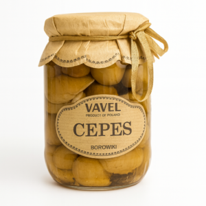 MUSHROOMS CEPES BOROWIKI VAVEL